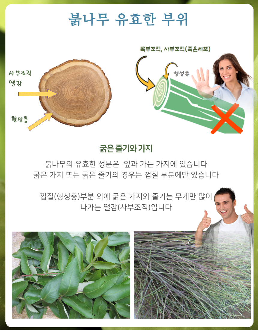 93cf14ab92ca77cd00c8751e156e3069_1753752107_9134.png 93cf14ab92ca77cd00c8751e156e3069_1753752107_9134.png