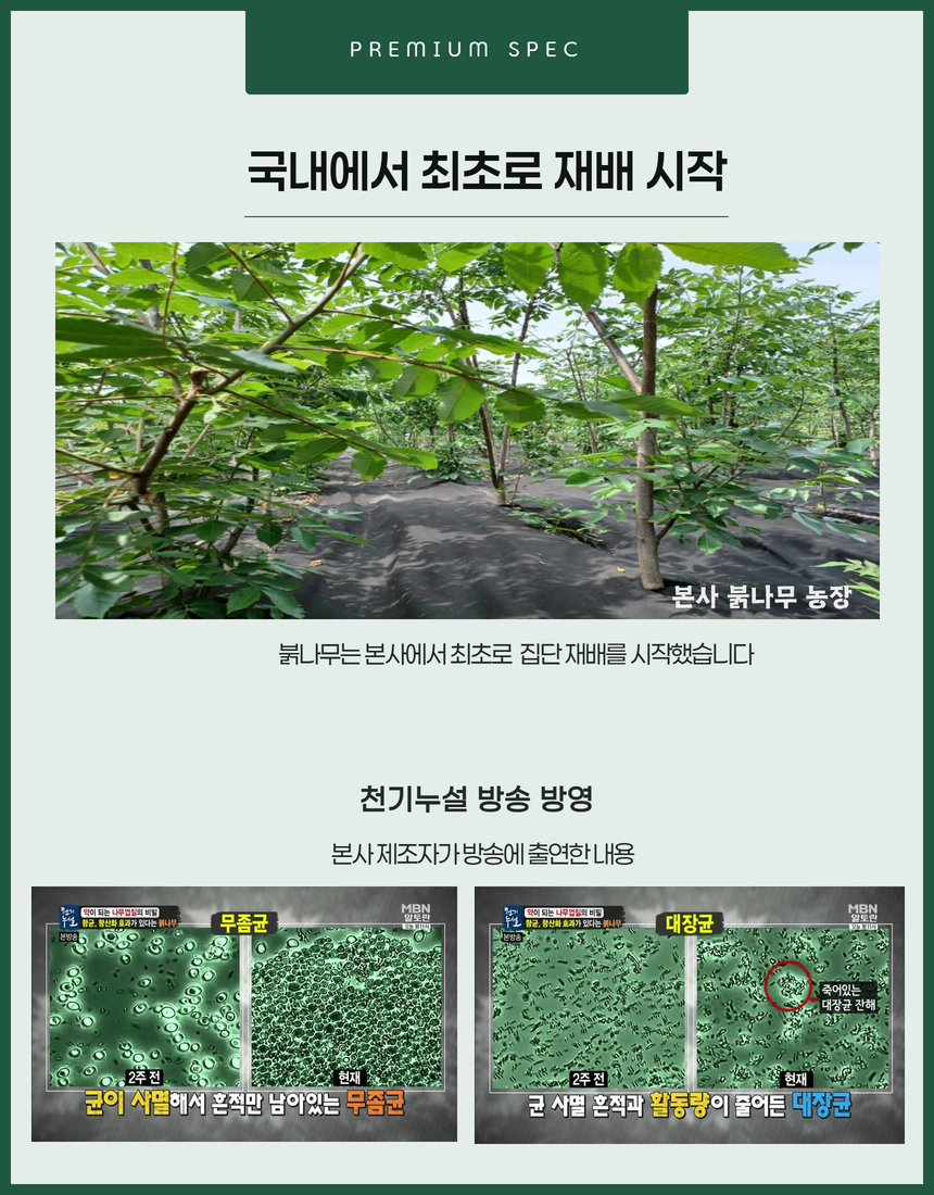 1bd2b994e0b78d483cdf14a7d62a6863_1781160649_8563.png 1bd2b994e0b78d483cdf14a7d62a6863_1781160649_8563.png