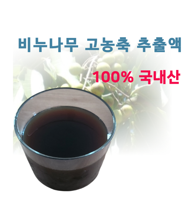 비누나무 액상 추출물 100g