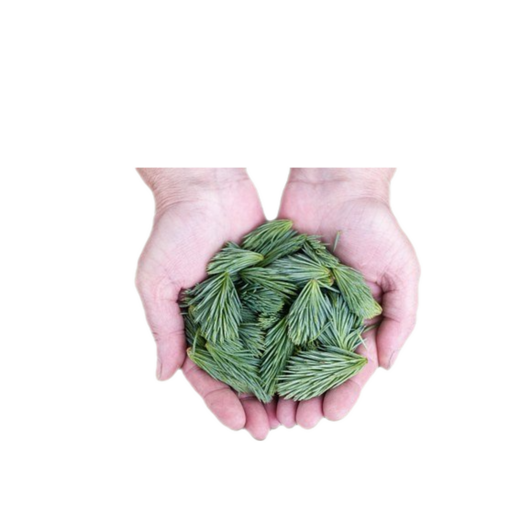 소나무 솔잎 고농도 향 Natural Fine Flavor (천연 솔향) 100g